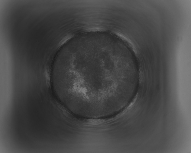 X0000100751305200806261535