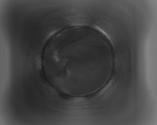 X0000100751306200806261535