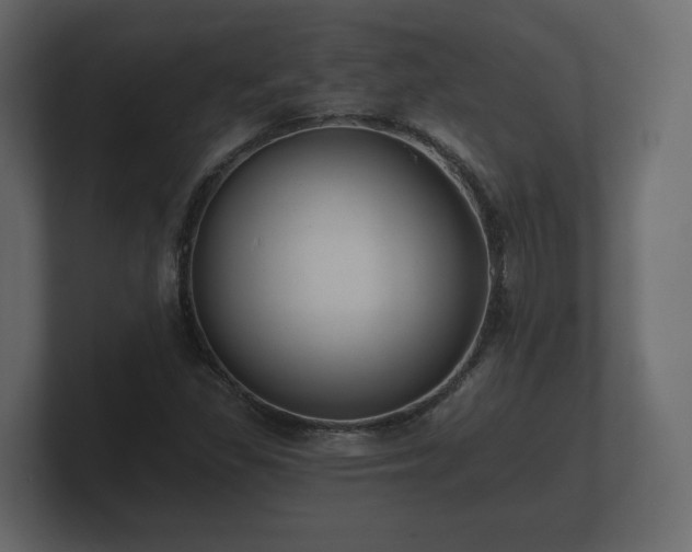 X0000100751309200806261535