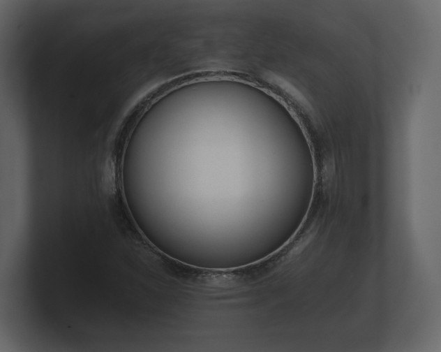 X0000100751310200806261535