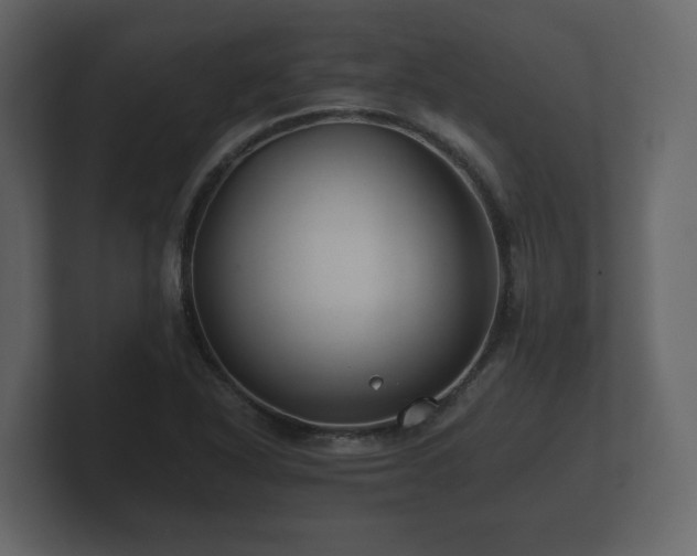 X0000100751318200806261535