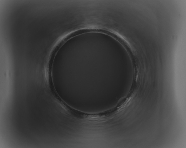 X0000100751319200806261535