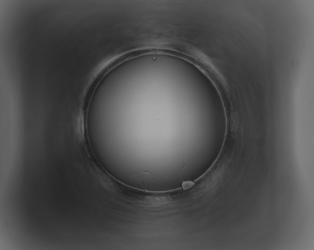 X0000100751320200806261535