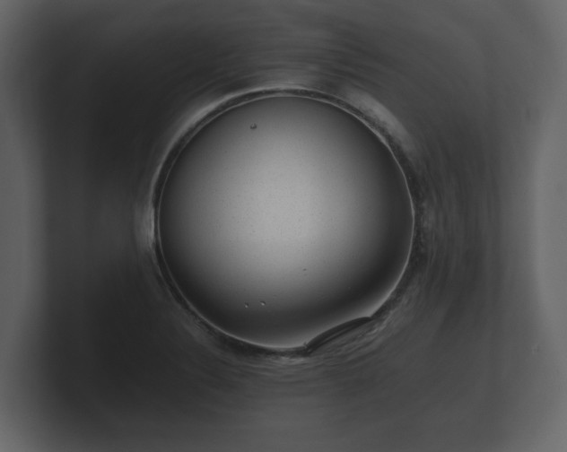 X0000100751324200806261535