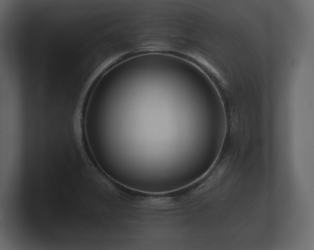 X0000100751325200806261535