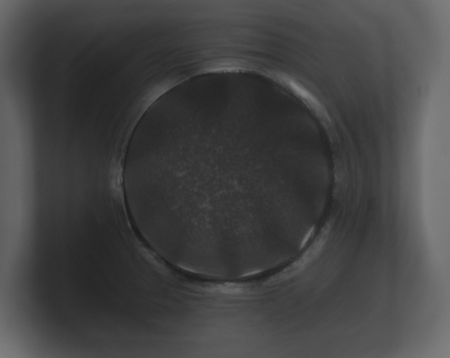 X0000100751329200806261535