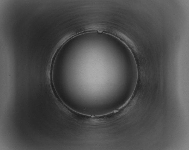 X0000100751330200806261535