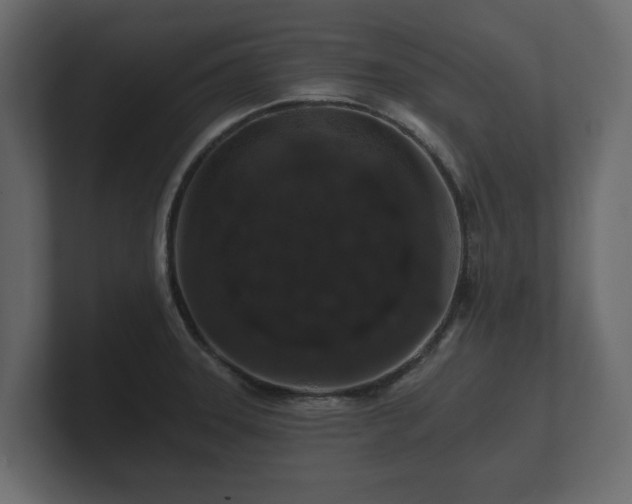 X0000100751331200806261535