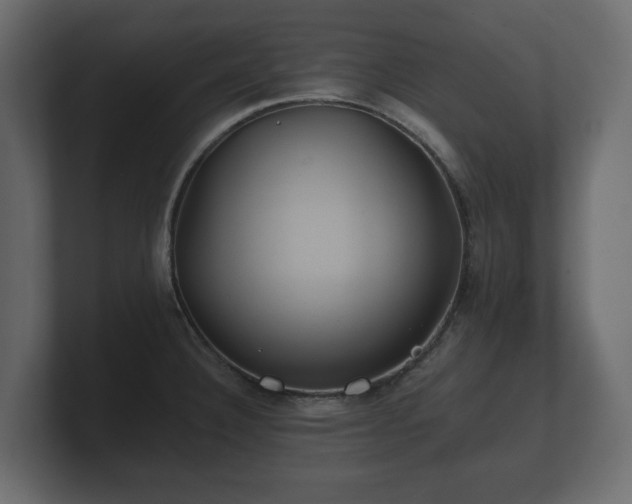 X0000100751332200806261535