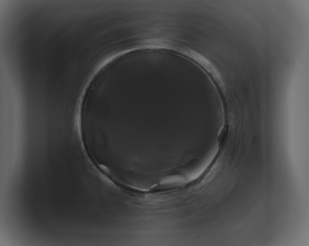 X0000100751334200806261536