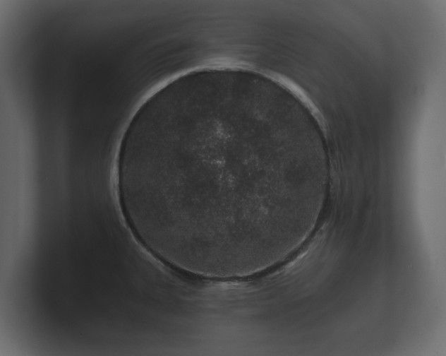 X0000100751335200806261536