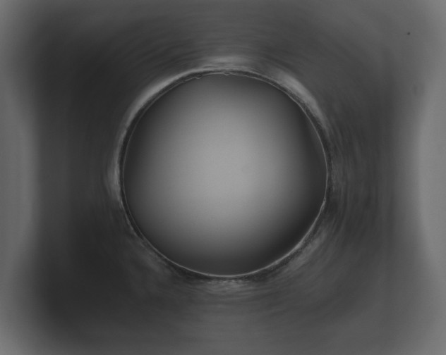 X0000100751336200806261536