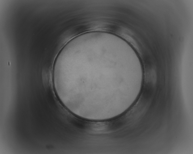 X0000100751338200806261536