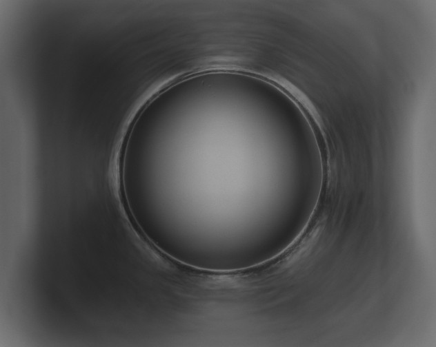 X0000100751341200806261536