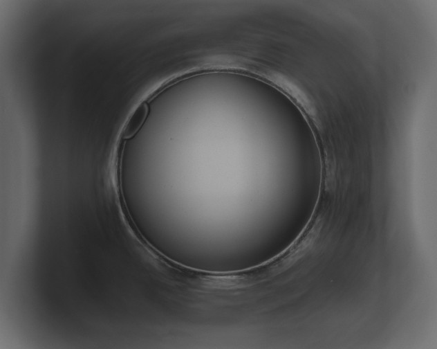 X0000100751342200806261536