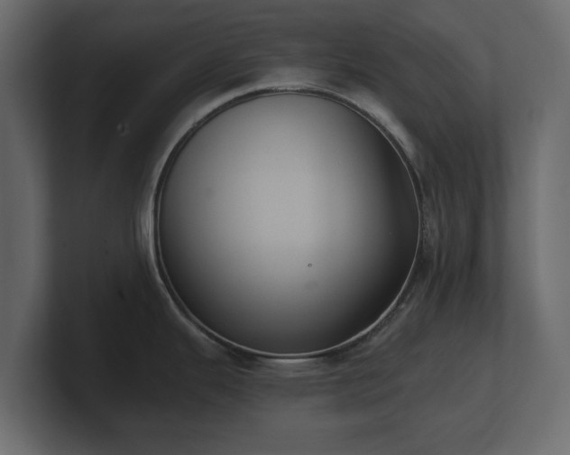 X0000100751343200806261536