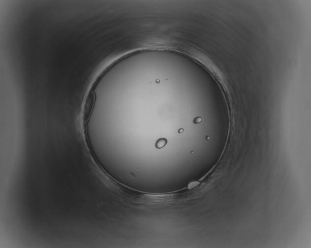 X0000100751344200806261536