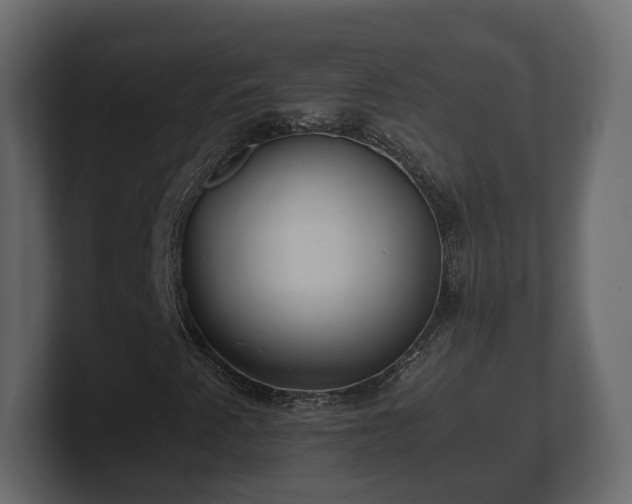 X0000100751345200806261535