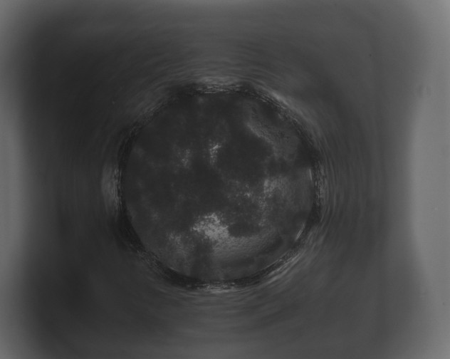 X0000100751346200806261535