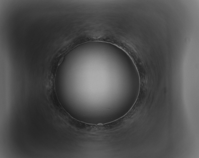 X0000100751349200806261535