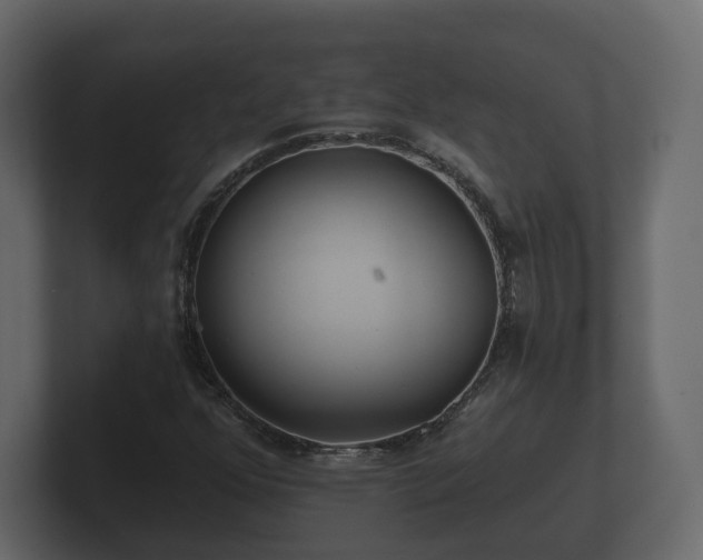 X0000100751352200806261535