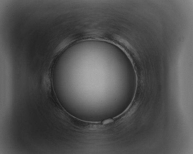 X0000100751354200806261535