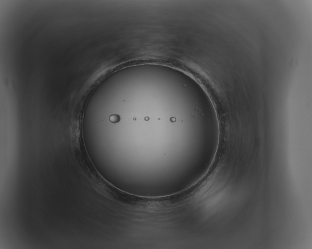 X0000100751355200806261535