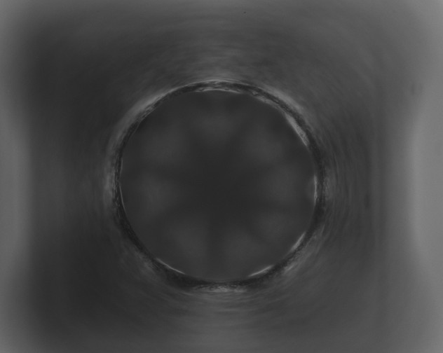 X0000100751359200806261535