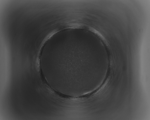 X0000100751362200806261535