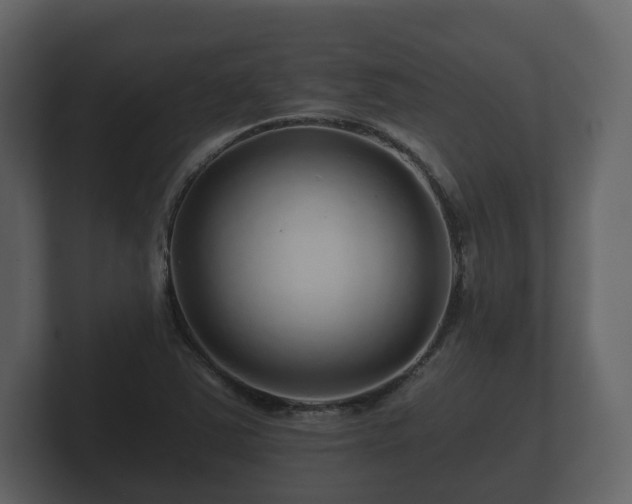 X0000100751363200806261535