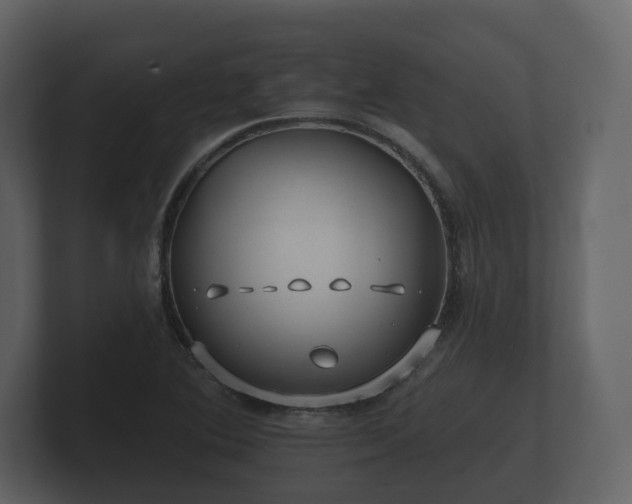 X0000100751364200806261535