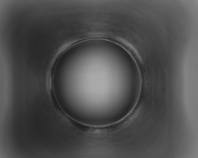 X0000100751365200806261535