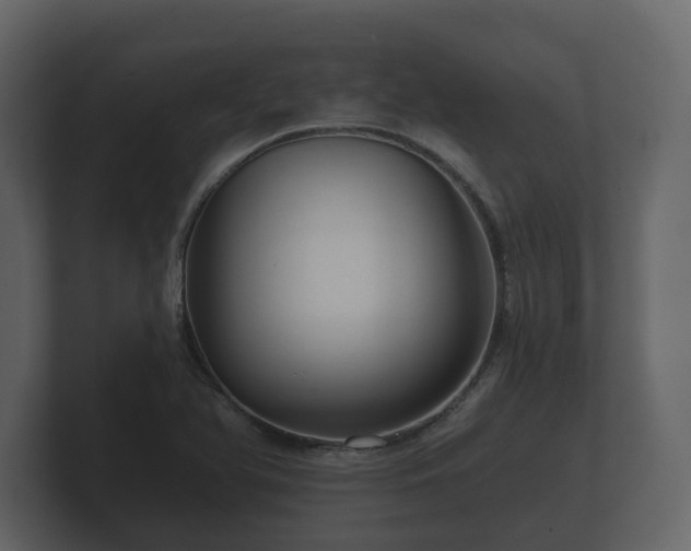 X0000100751366200806261535