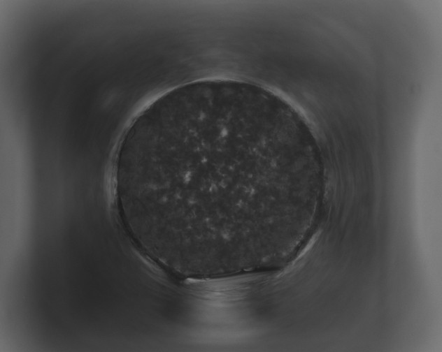 X0000100751367200806261535