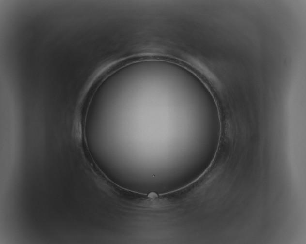 X0000100751368200806261535