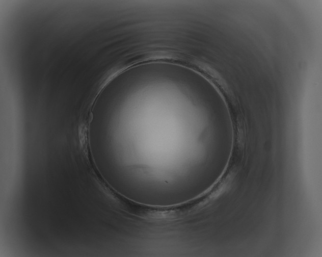 X0000100751369200806261535