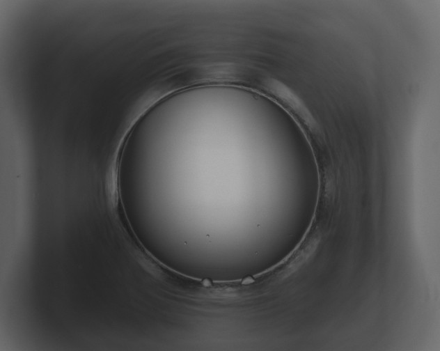 X0000100751370200806261535