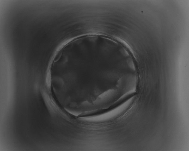 X0000100751371200806261535