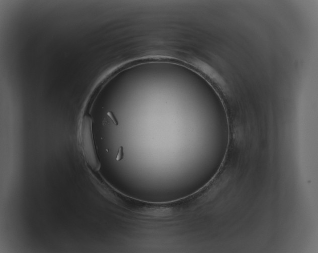 X0000100751372200806261535