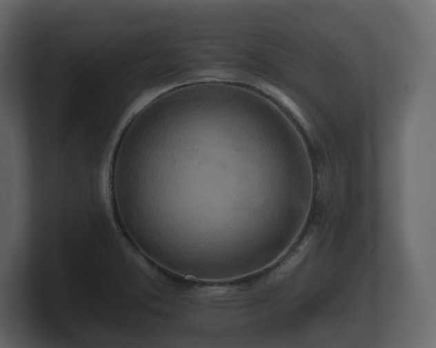 X0000100751373200806261535