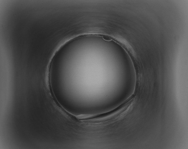 X0000100751374200806261535