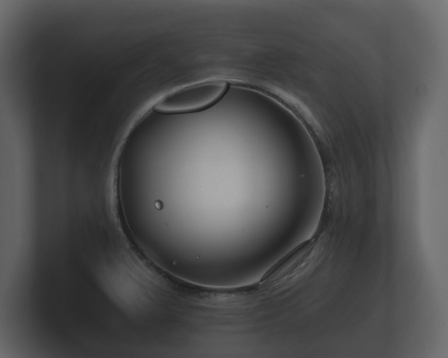 X0000100751375200806261535