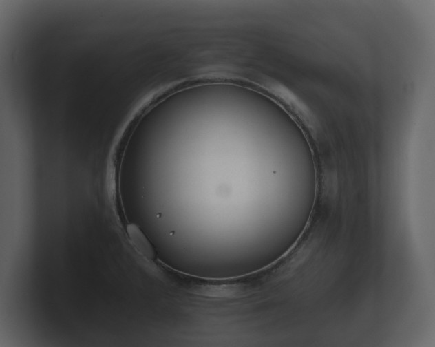 X0000100751376200806261535