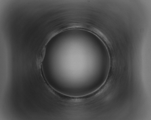 X0000100751377200806261535