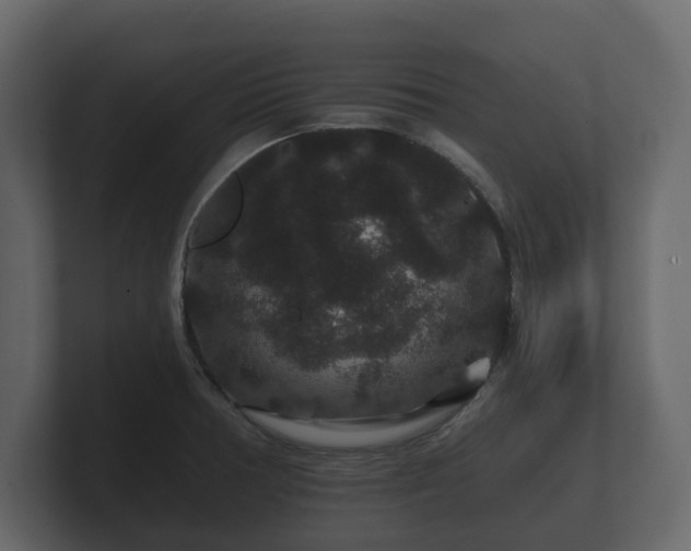 X0000100751378200806261535