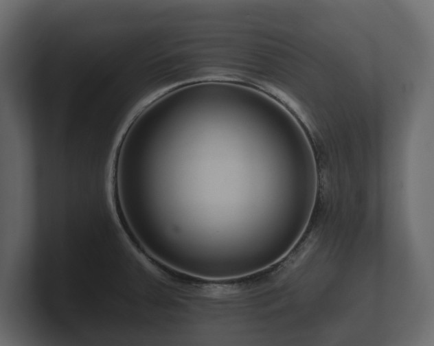 X0000100751379200806261534