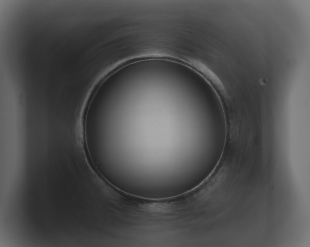 X0000100751380200806261534