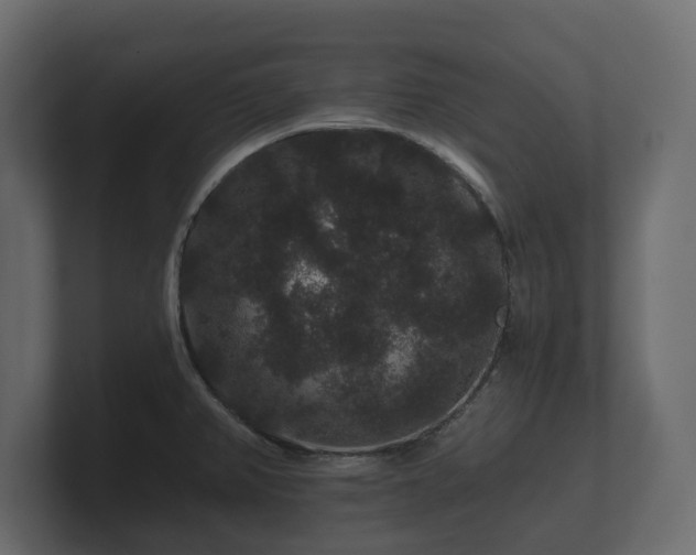 X0000100751382200806261534