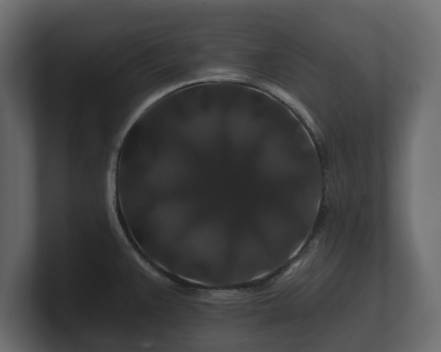 X0000100751383200806261534