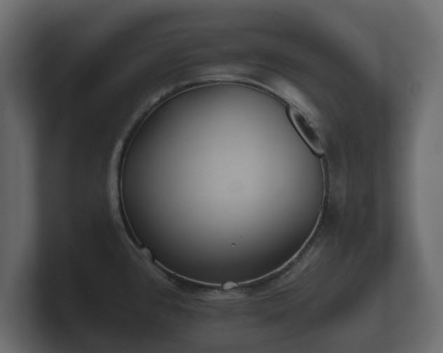 X0000100751384200806261534